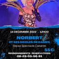 Cabaret norbert et ses droles de dames au port aux perches le 14 decembre 2022